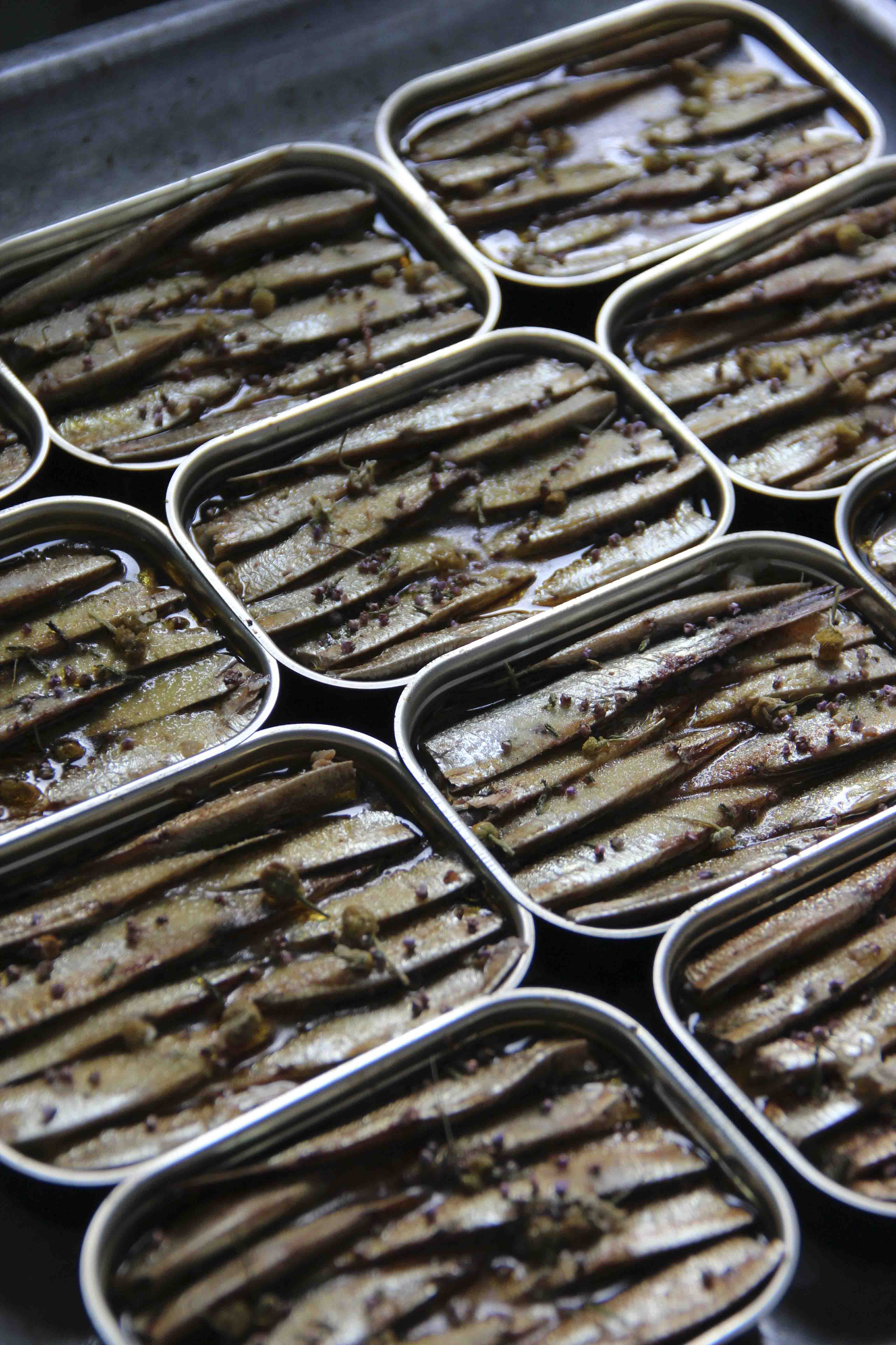 FANGST_Nordic-tapas_IMG_5250_1.jpg
